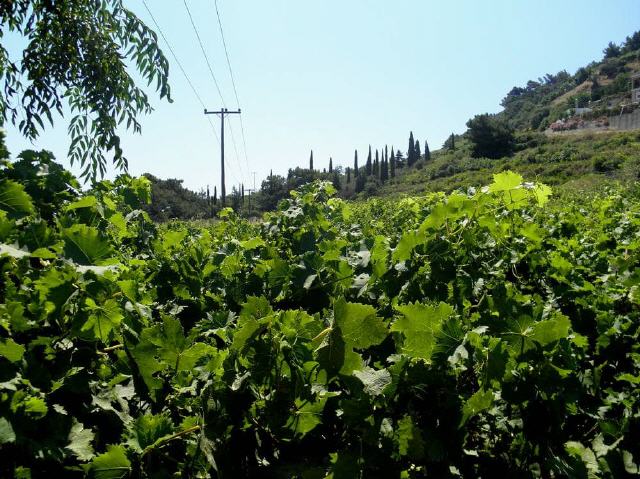 Ano Agios Konstantinos