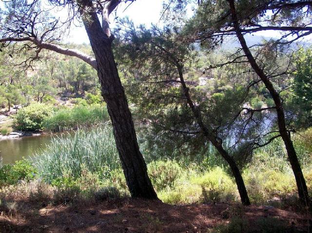 Insel Ikaria