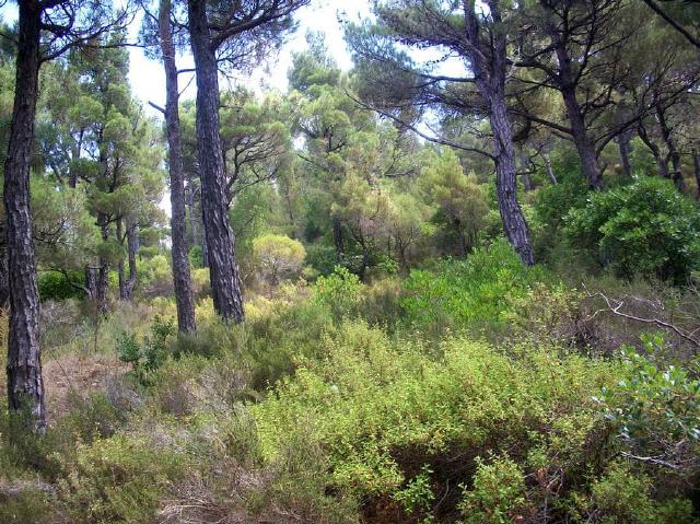 Insel Ikaria