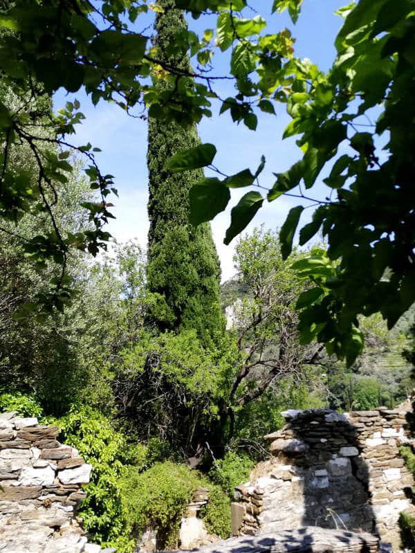 Agios Konstantinos - Valeondades