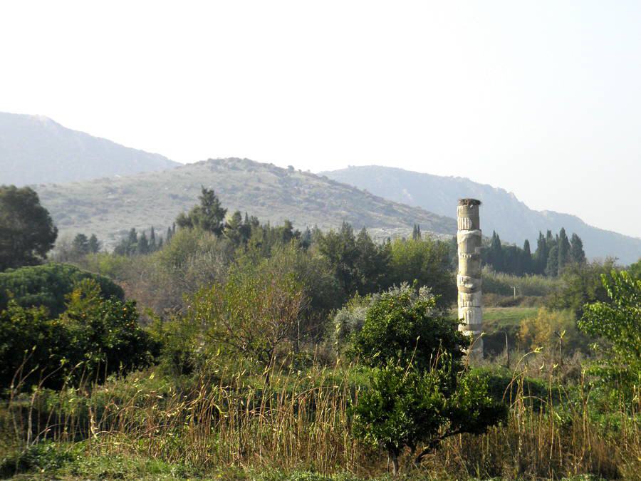Selcuk - Artemision