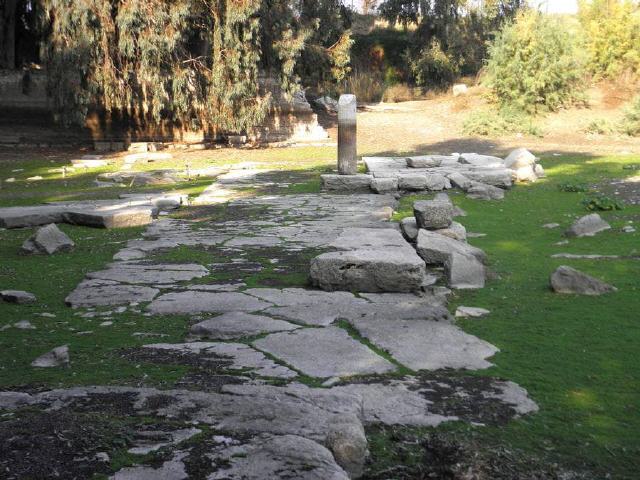 Selçuk - Tempel der Artemis