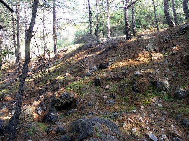 Güzelcamli - Dilek Nationalpark