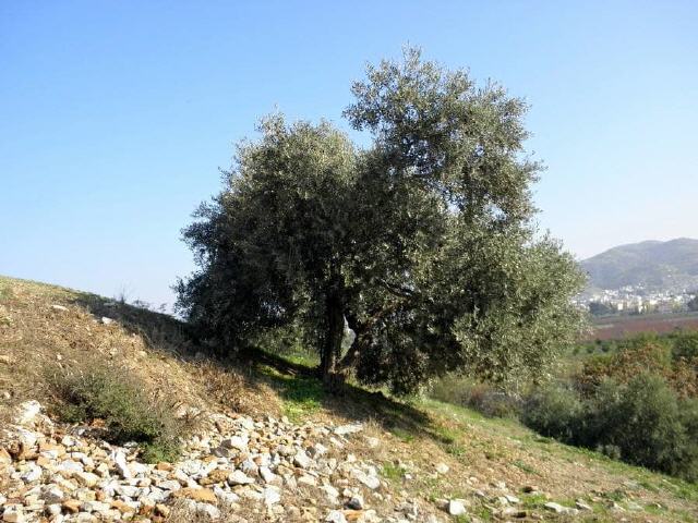 Ephesos - Grotte der Siebenschläfer