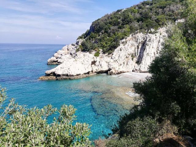 Mikro Seitani