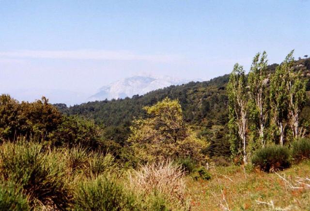 Insel Samos - Jahreszeiten