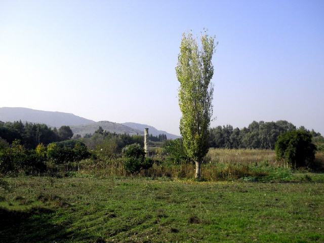 Selçuk - Tempel der Artemis