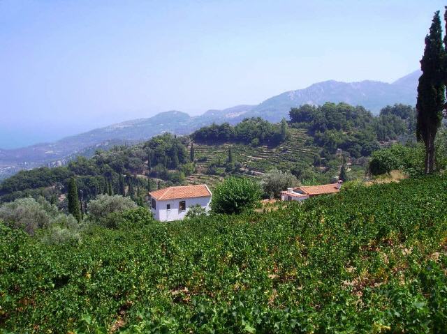 Stavrinides