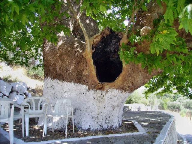 Insel Samos - Südseite