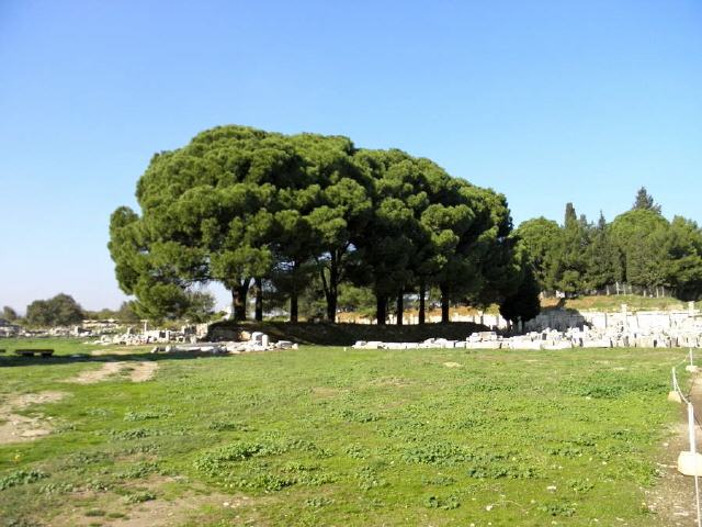 Ephesos - Tetragonos Agora